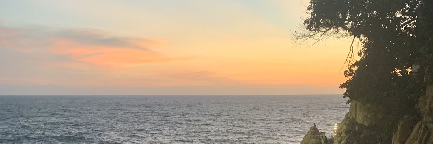 supercecyayeli's profile banner image