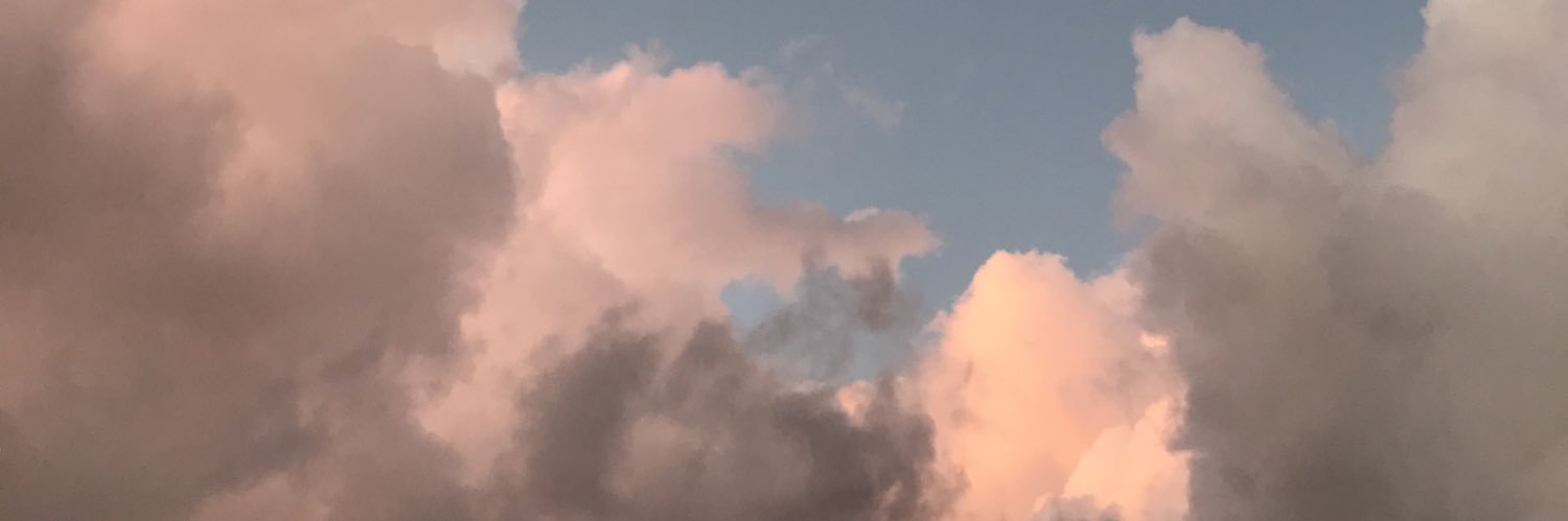 LindaNuves's profile banner image