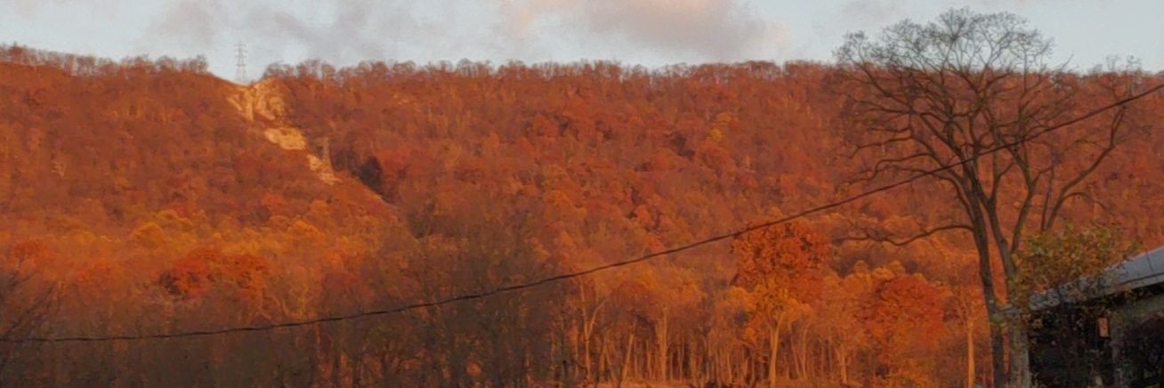 coby_hann's profile banner image
