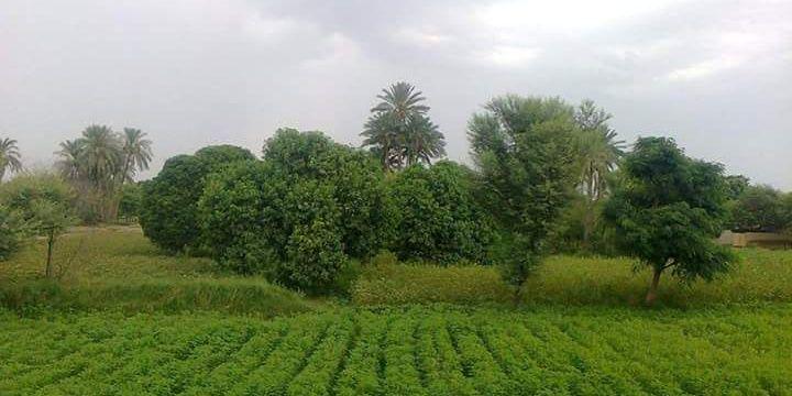 Saleembhidwal's profile banner image