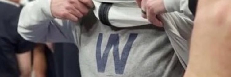 MuseWaddle's profile banner image