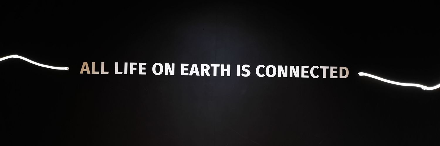 Craig Connell banner