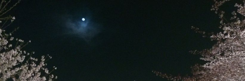 tohru3's profile banner image
