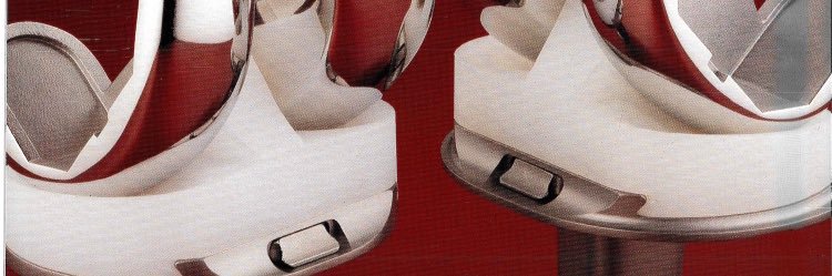 disasterplasty banner