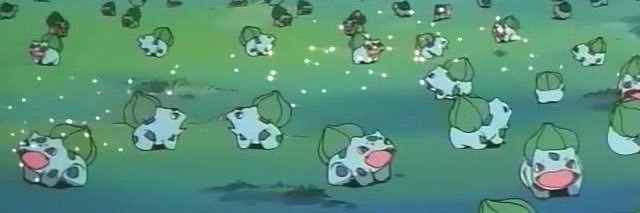 Alicia Manatee banner