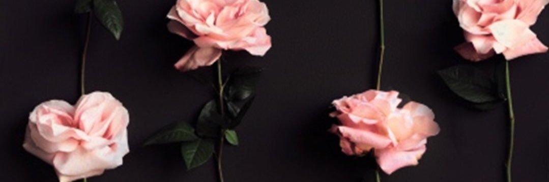 Sarahae_'s profile banner image