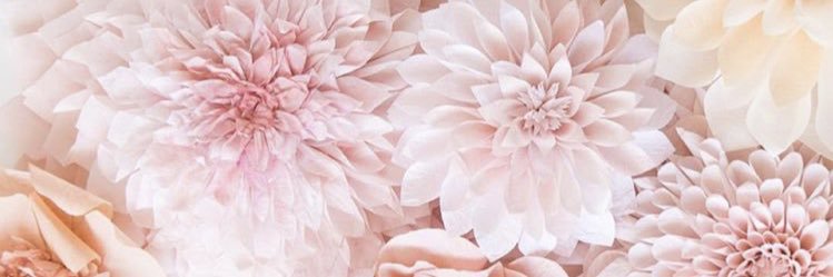 klpelles's profile banner image