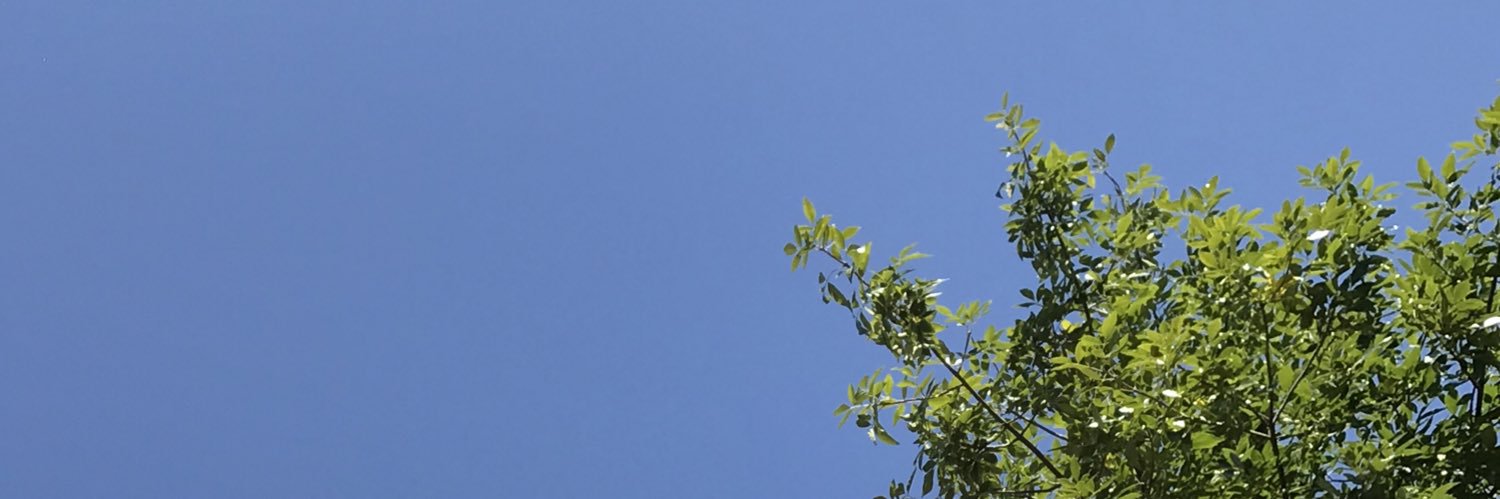 Lulicuoco's profile banner image