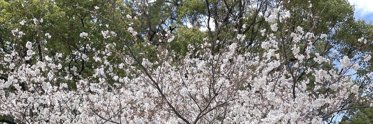 ふらちゃん banner