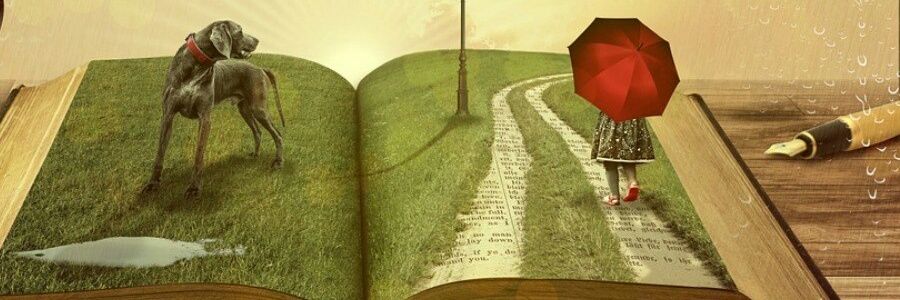 Metdeneusindeboeken #heefteenhekelaansterren banner