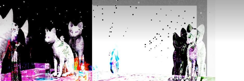 jonny saunders banner