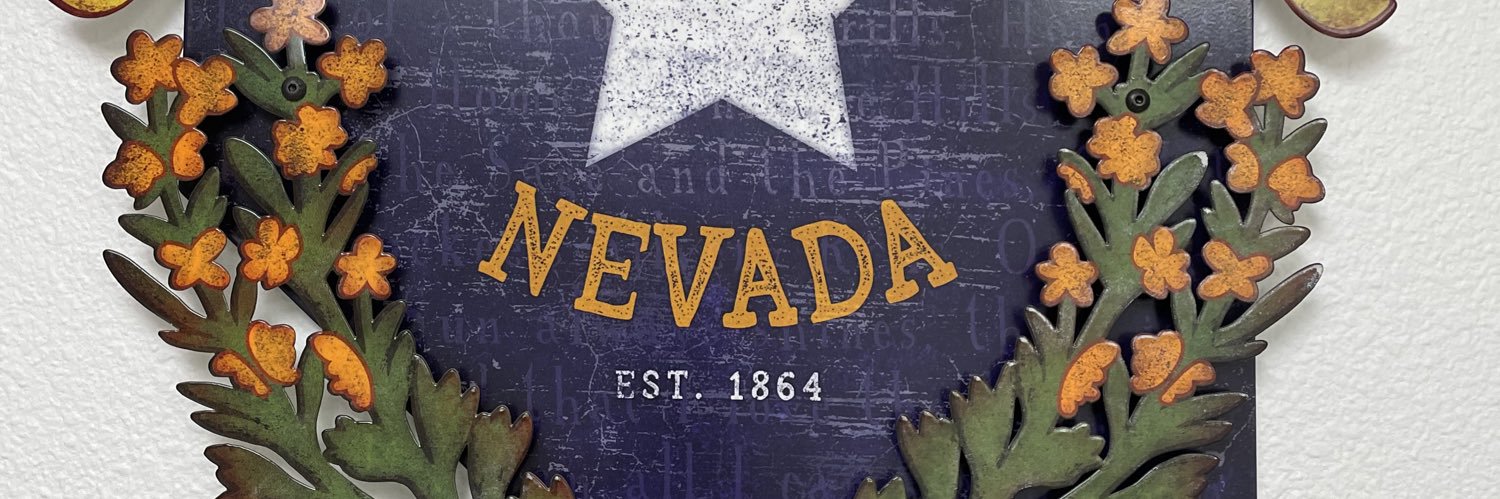 Nevada Silver banner