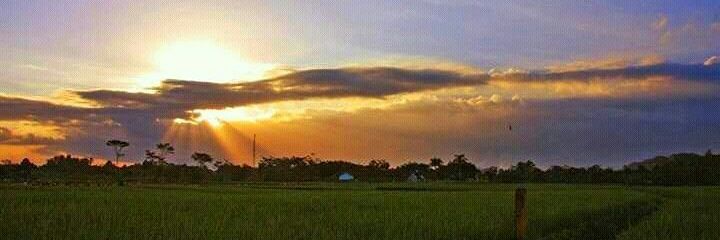 budi_solfami's profile banner image