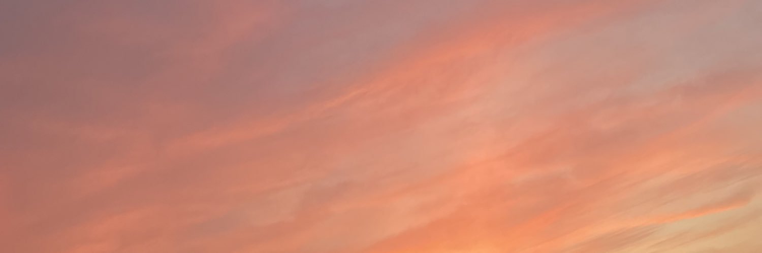 meccha0719's profile banner image