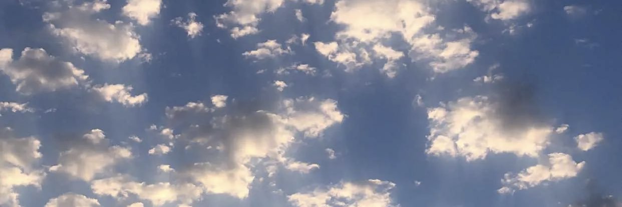 confused__mind's profile banner image