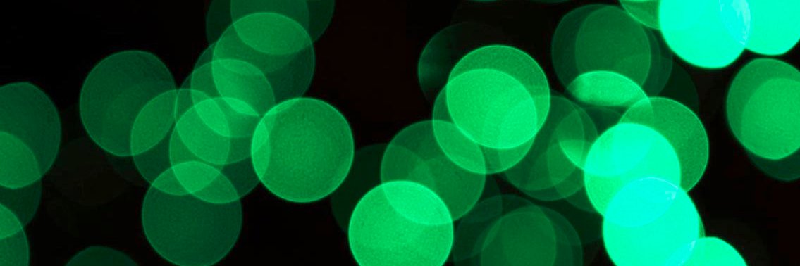 michael_moser's profile banner image