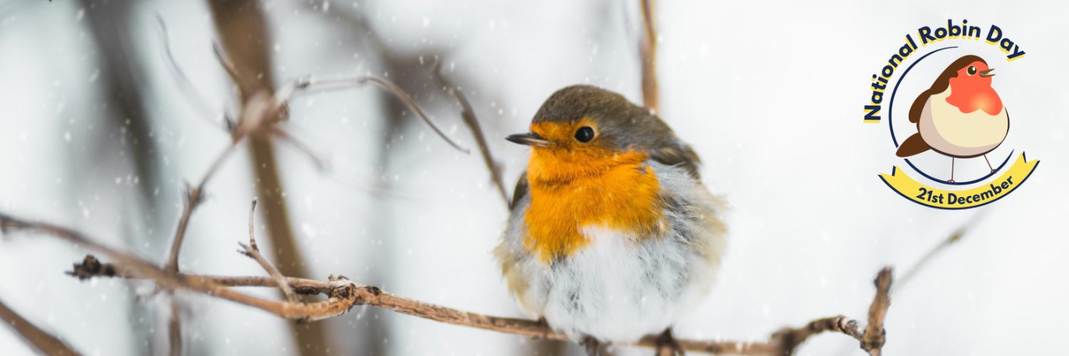 National Robin Day banner