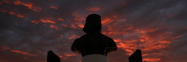 darwintiger's profile banner image