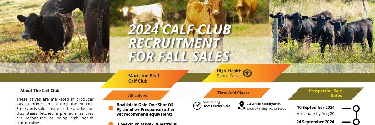 MaritimeBeef Council banner