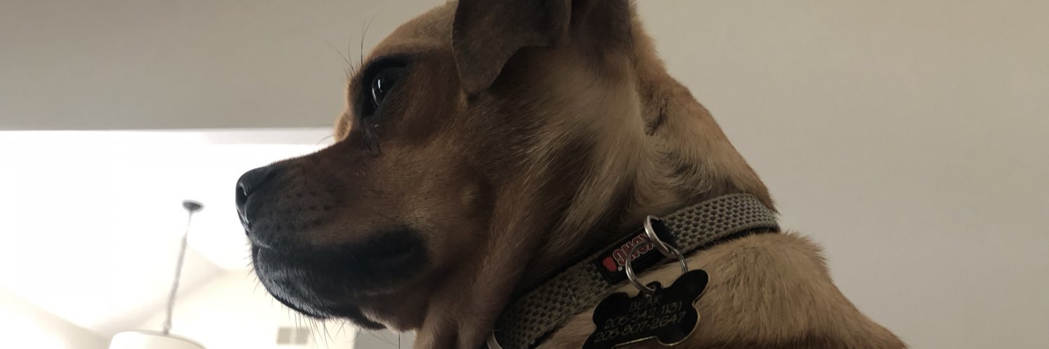CeebzWheeler's profile banner image
