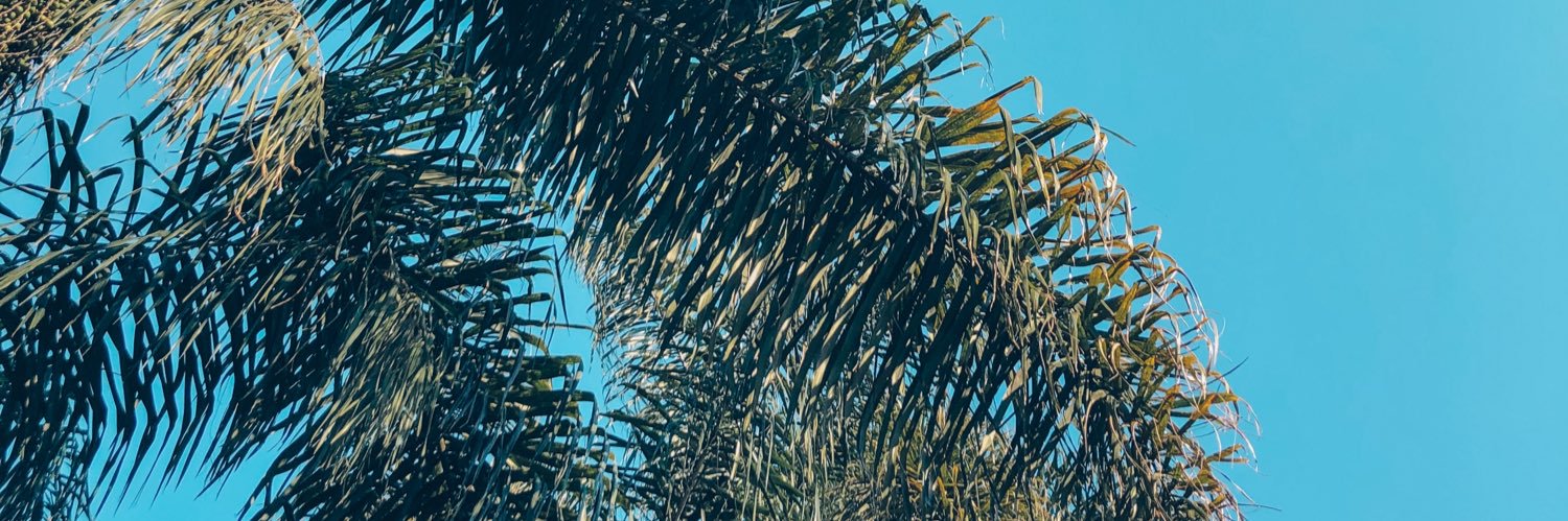 DessaDib's profile banner image