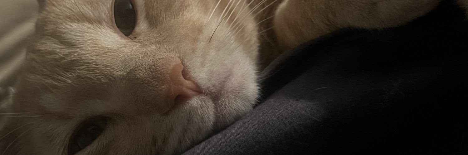 0nlybeans's profile banner image