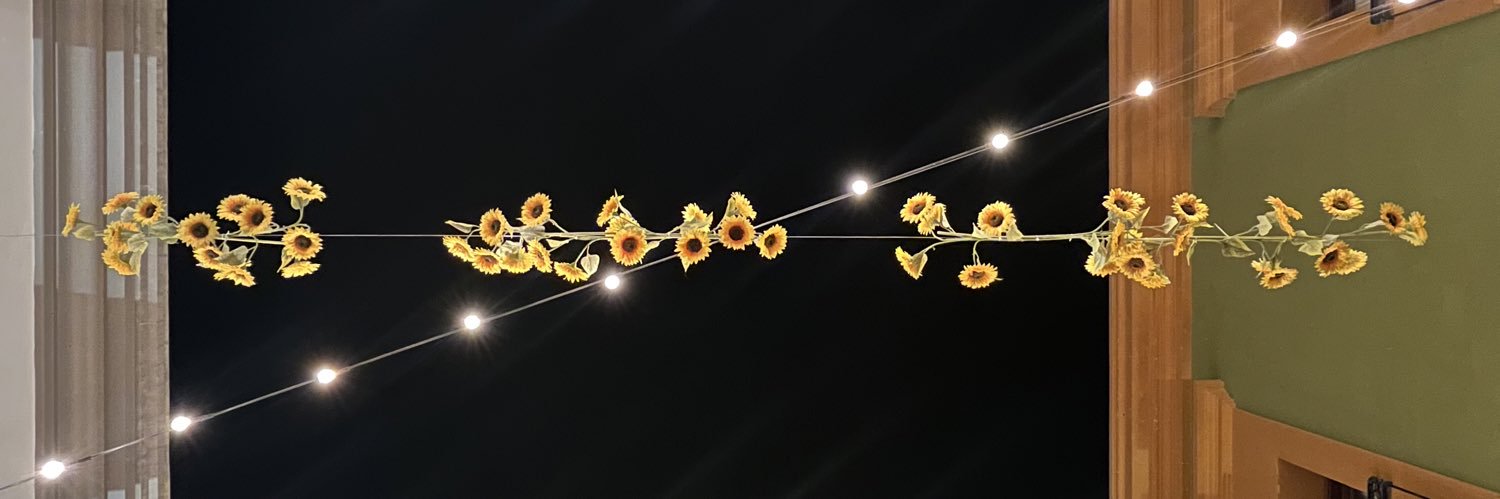 fernandaLRgz's profile banner image