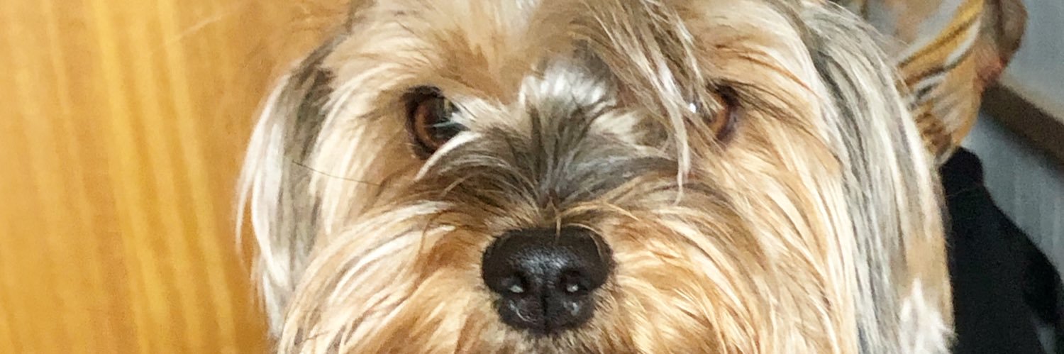Belenc0's profile banner image