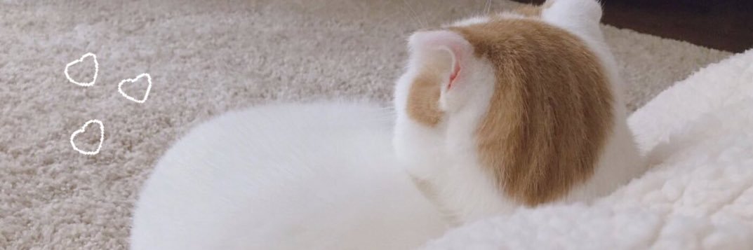 𝑨𝒊𝒌𝒂❁ banner