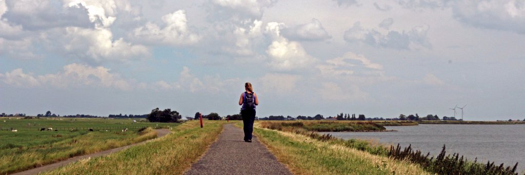Wandelnet Flevoland banner