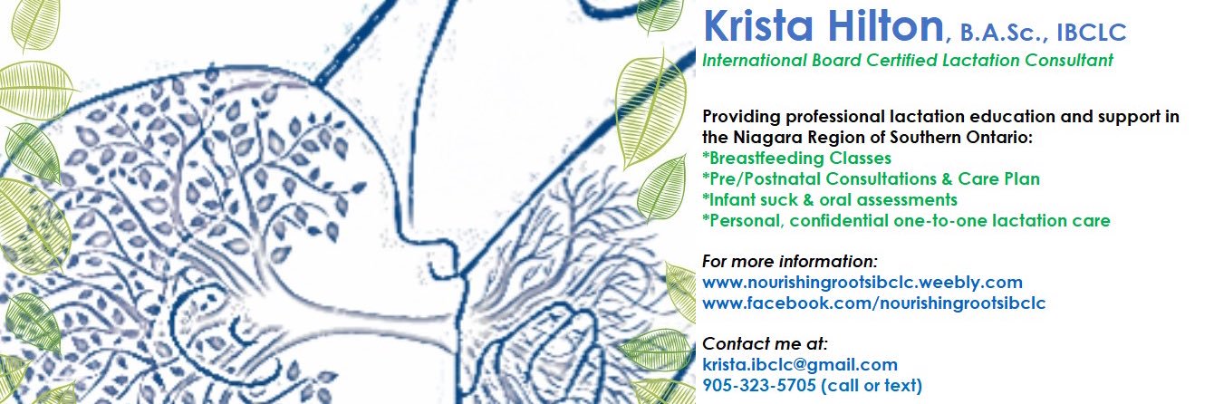 Krista_IBCLC's profile banner image