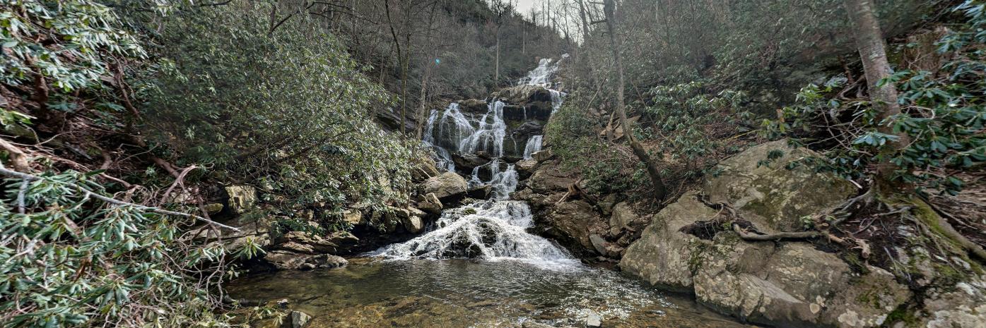 Adrian Phillips banner