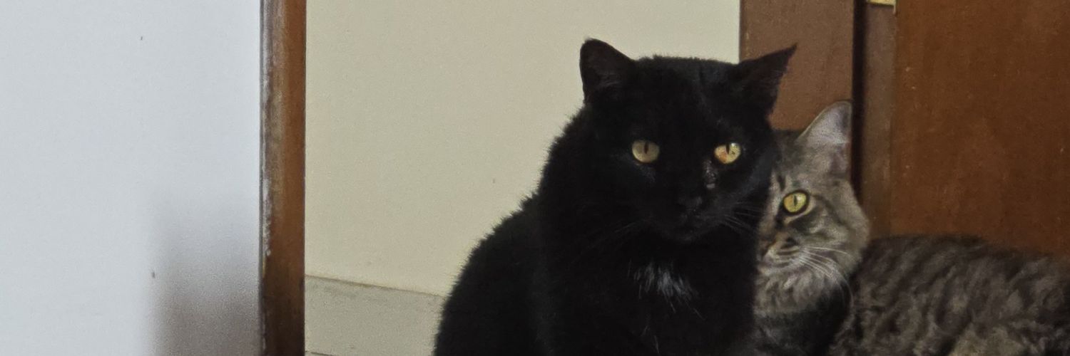 maconheiro aposentado banner