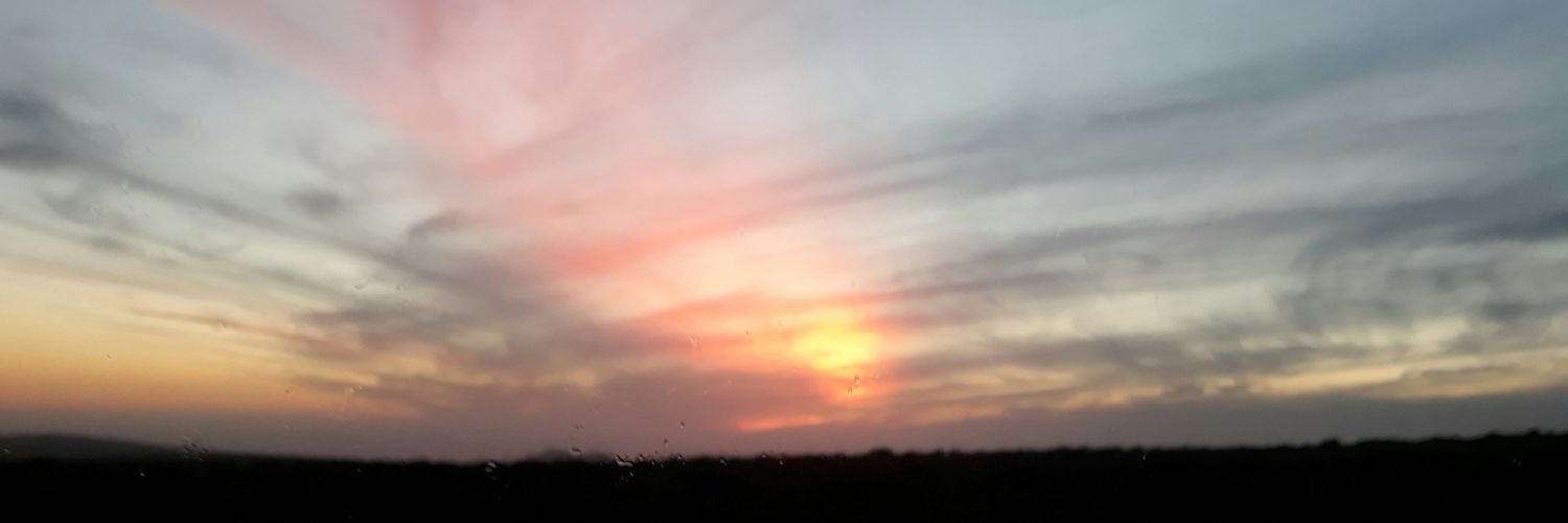 tenienteSteele's profile banner image