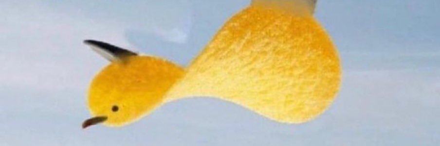Floof banner