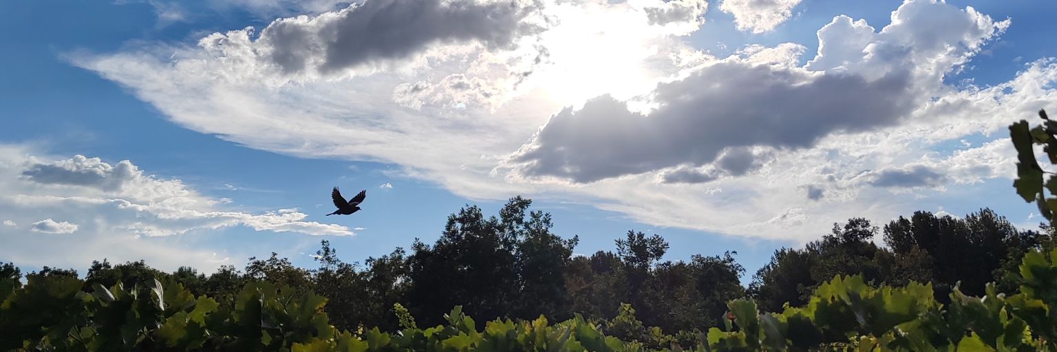 g_brocker's profile banner image