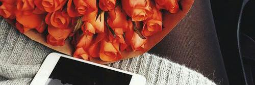 25_Alhanoof's profile banner image