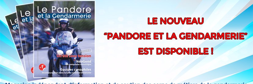 Journal le Pandore banner