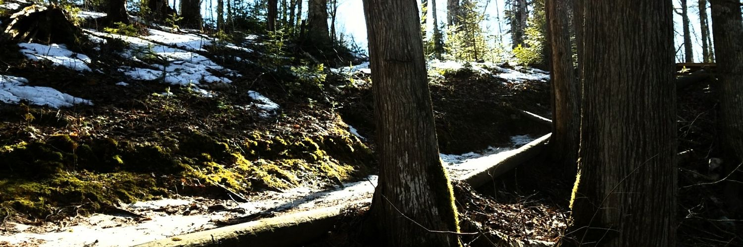 lengelmonster's profile banner image