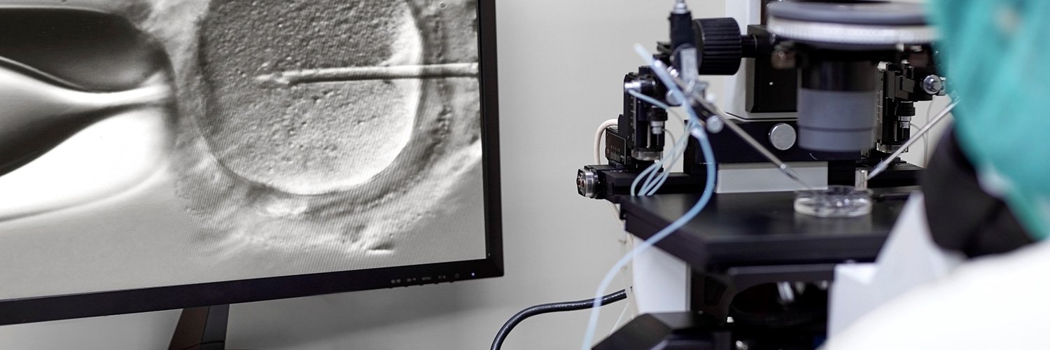 IVF-Worldwide.com banner