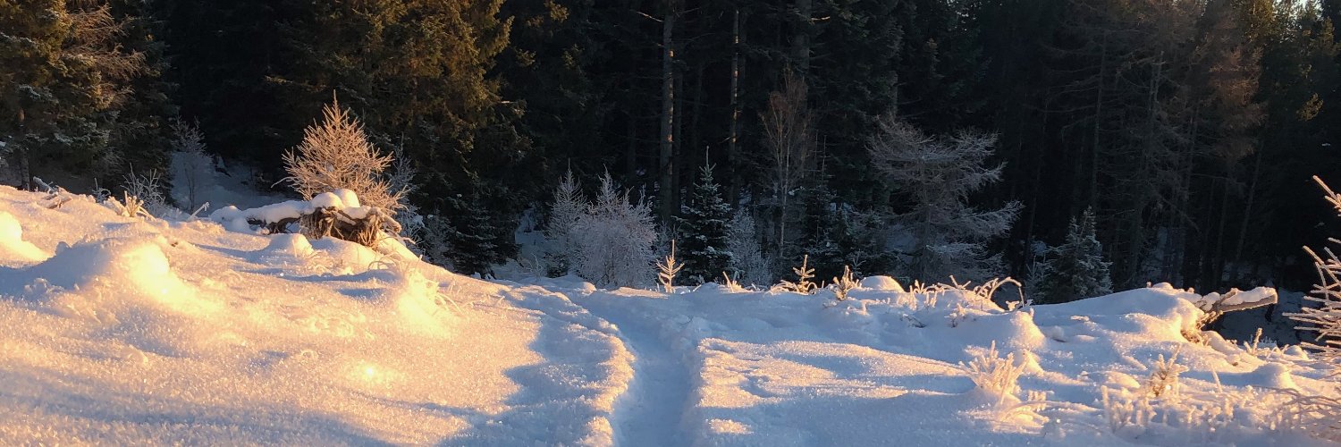 Andreas Eriksen banner