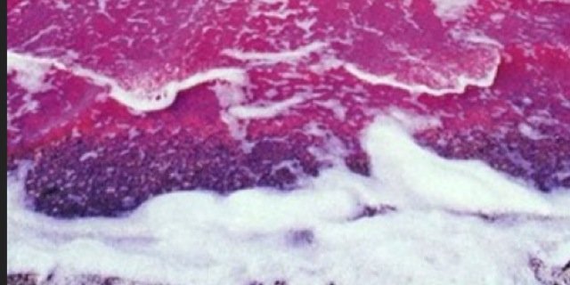 nicoleeflowwer's profile banner image