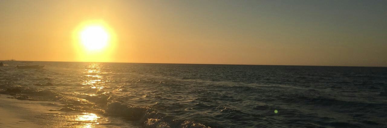martellinisofi's profile banner image