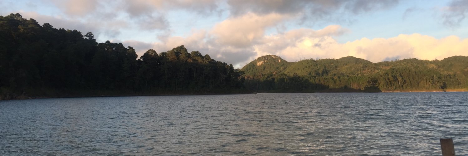 marthamontano's profile banner image