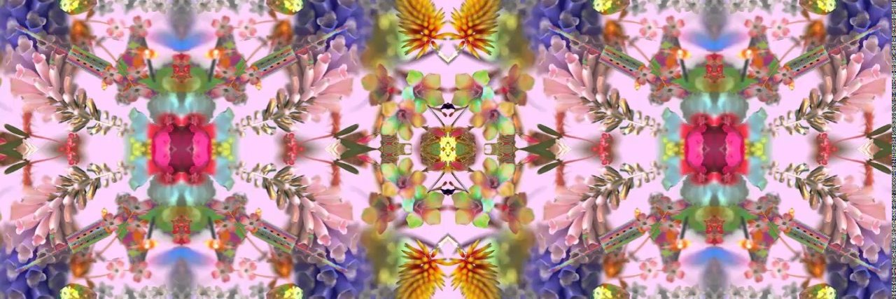 CandeDenapole's profile banner image