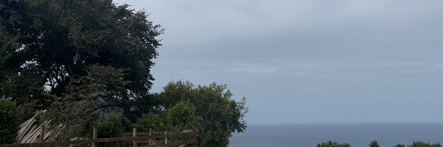 inespoe's profile banner image
