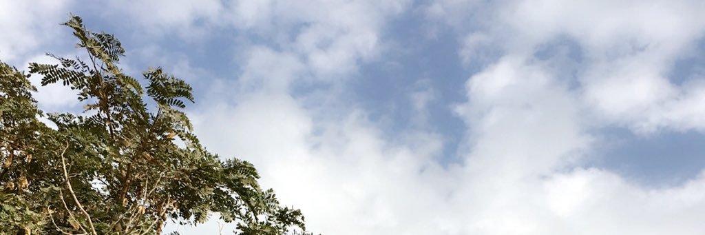 S_Q2230's profile banner image