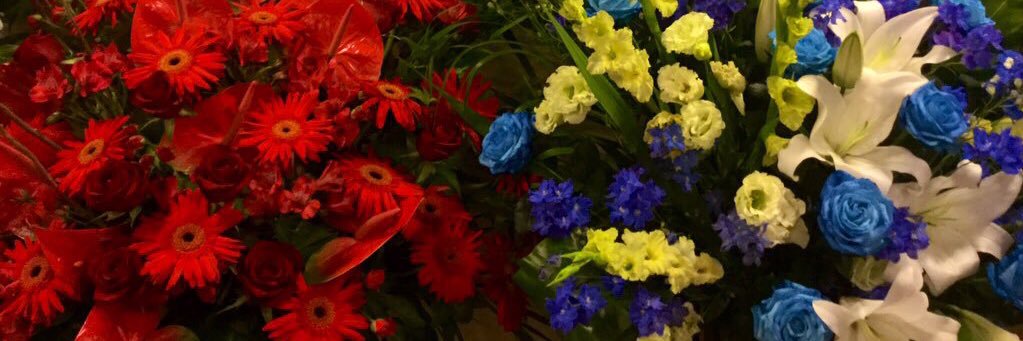 szh_ttm's profile banner image