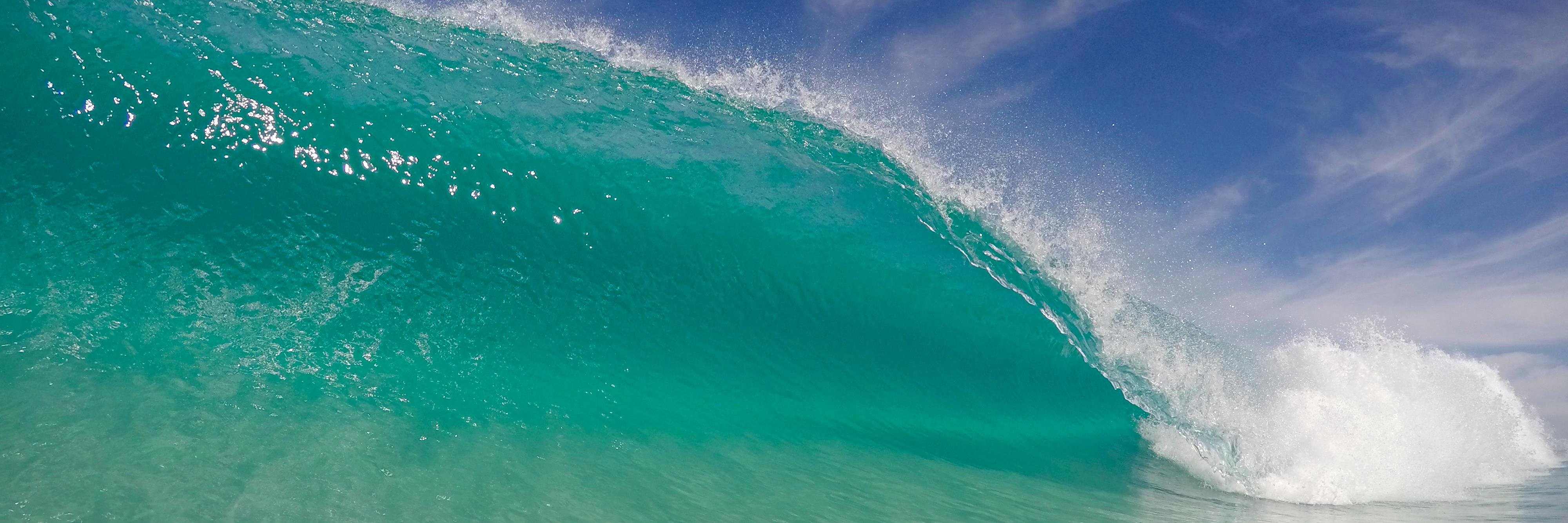 Philippe Botteri banner