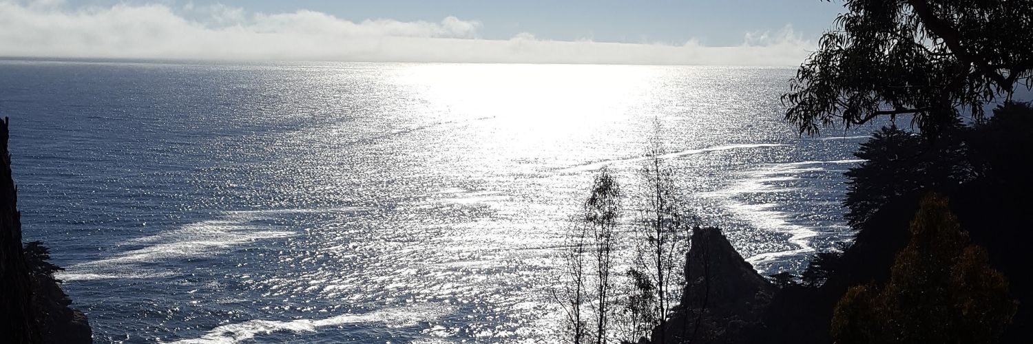Randy Camino banner